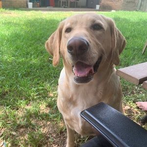 Meet your Posher, Madison